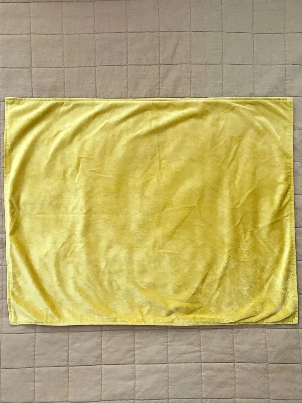 Opalhouse Yellow Gold Velvet / Peacock Design Reversible Pillow Cover / Sham